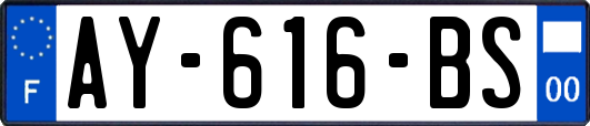 AY-616-BS