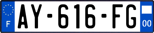 AY-616-FG