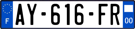 AY-616-FR