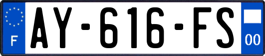 AY-616-FS
