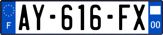 AY-616-FX