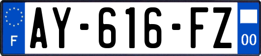 AY-616-FZ