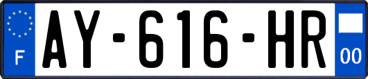 AY-616-HR