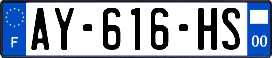 AY-616-HS