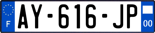 AY-616-JP