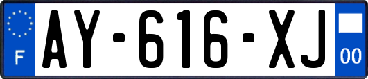 AY-616-XJ