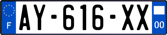 AY-616-XX