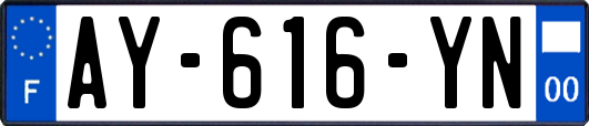 AY-616-YN