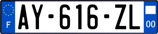 AY-616-ZL