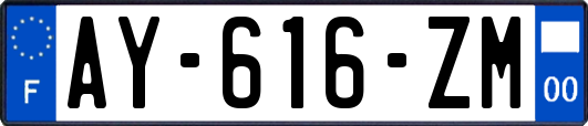 AY-616-ZM