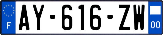 AY-616-ZW