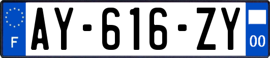 AY-616-ZY
