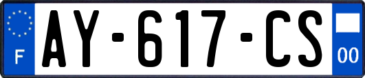 AY-617-CS
