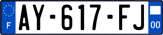 AY-617-FJ