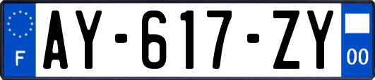 AY-617-ZY