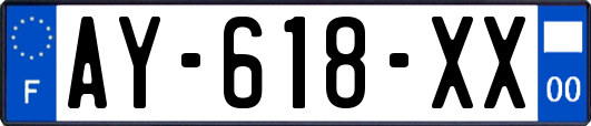 AY-618-XX