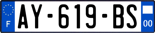 AY-619-BS