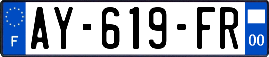 AY-619-FR