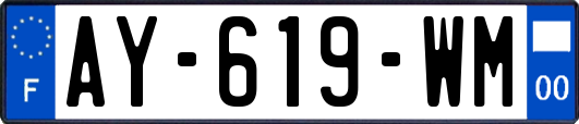 AY-619-WM