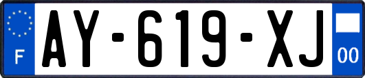 AY-619-XJ