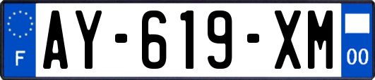 AY-619-XM