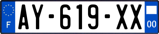 AY-619-XX