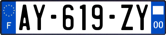 AY-619-ZY