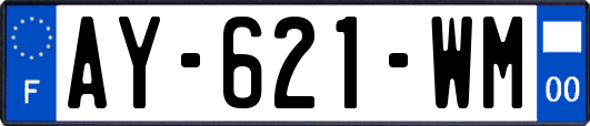 AY-621-WM
