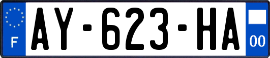 AY-623-HA