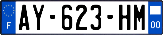 AY-623-HM