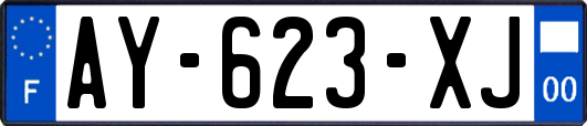 AY-623-XJ