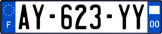 AY-623-YY