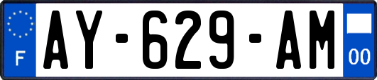 AY-629-AM