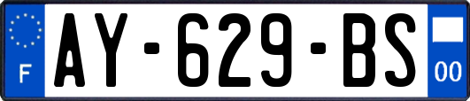 AY-629-BS