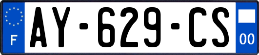 AY-629-CS