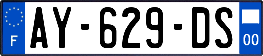 AY-629-DS
