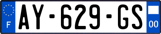 AY-629-GS
