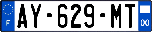 AY-629-MT