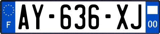 AY-636-XJ