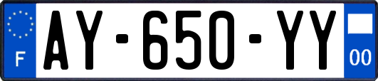 AY-650-YY
