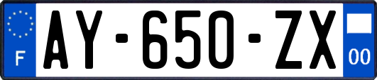 AY-650-ZX