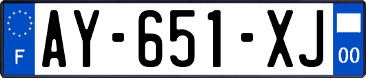 AY-651-XJ