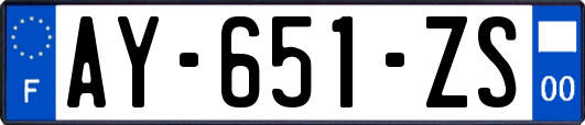 AY-651-ZS