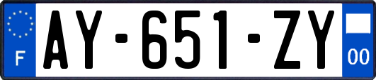 AY-651-ZY