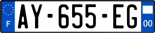 AY-655-EG