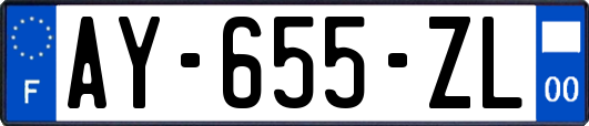 AY-655-ZL