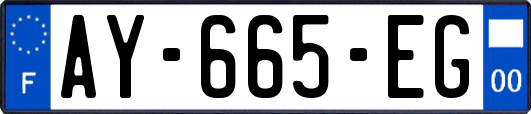 AY-665-EG