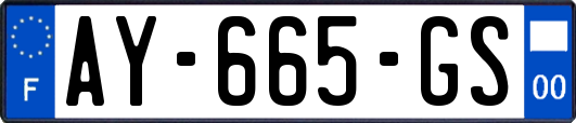 AY-665-GS