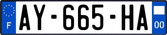 AY-665-HA
