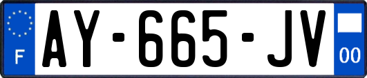AY-665-JV